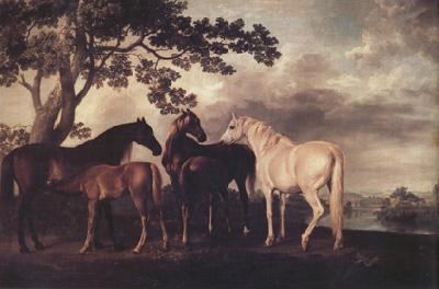 George Stubbs Mares and Foais in a Landscape (nn03) France oil painting art